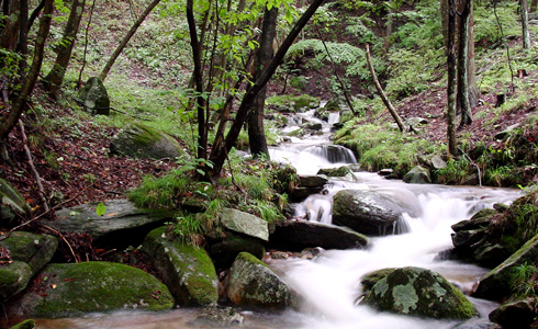 東野の清流 福島県玉川村