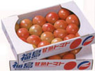 トマト