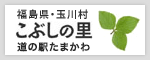 道の駅たまかわ