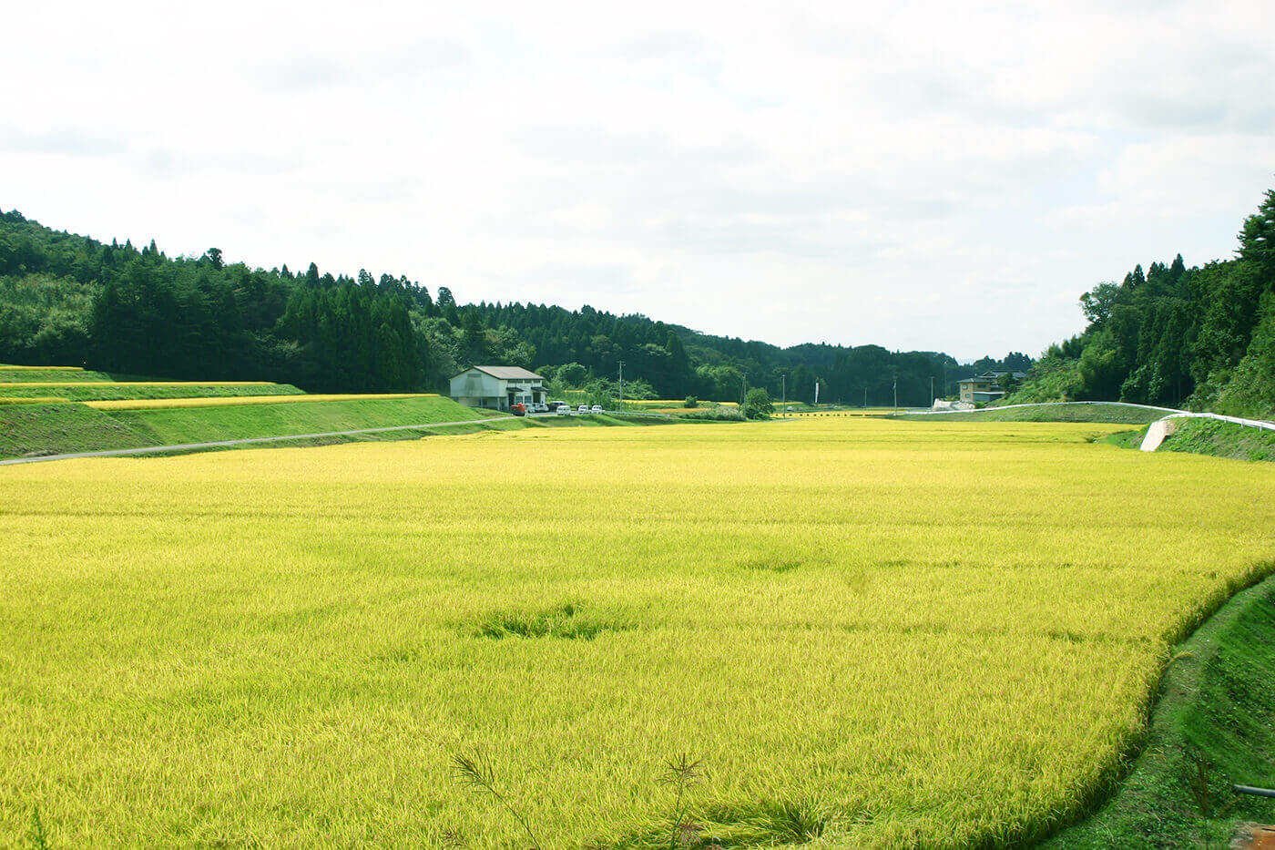 フッターイメージ-田園風景