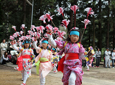 平鍬踊り