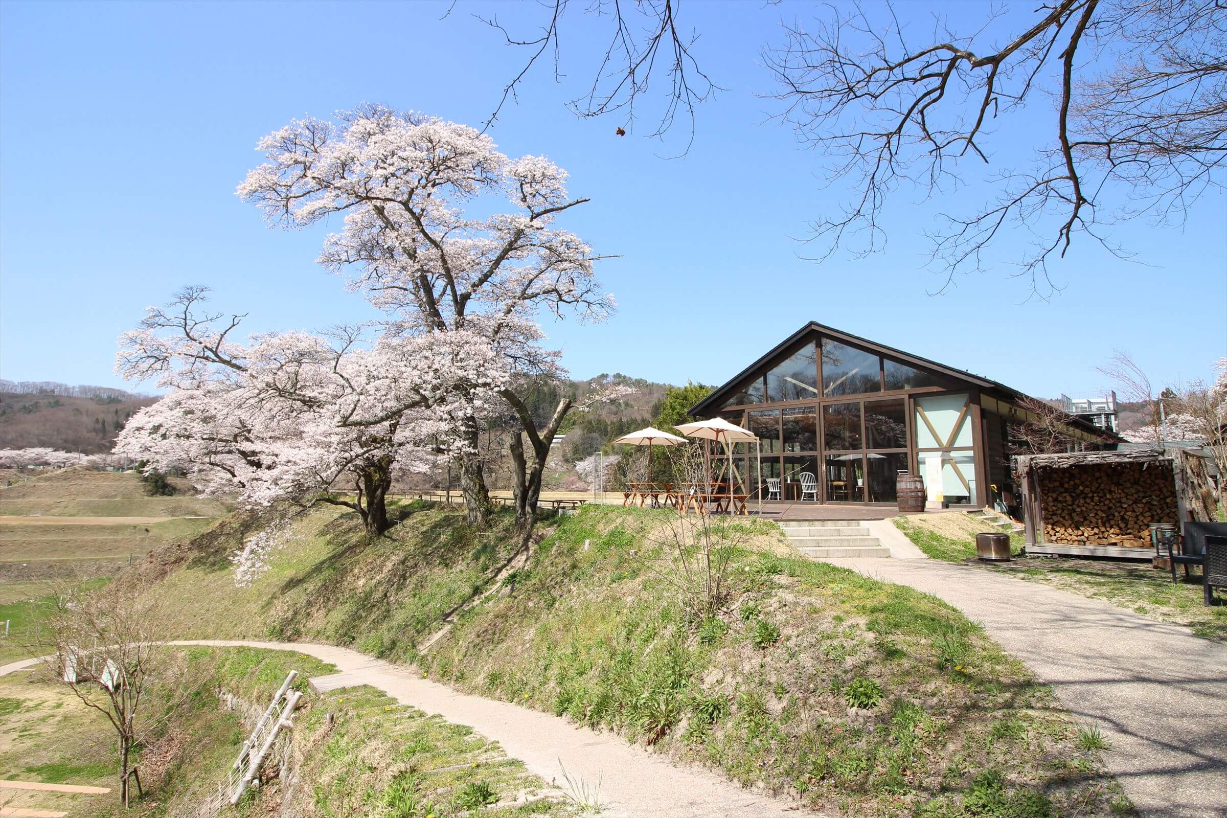 森の駅yodge